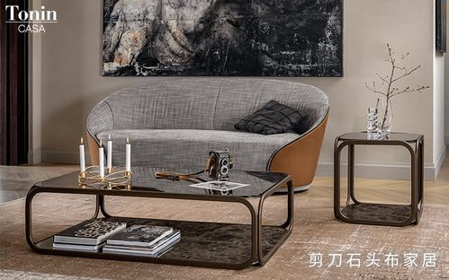進(jìn)口輕奢沙發(fā)有哪些品牌