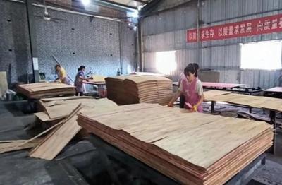 山東菏澤牡丹區政協主席葛廣亮調研木材加工發展情況